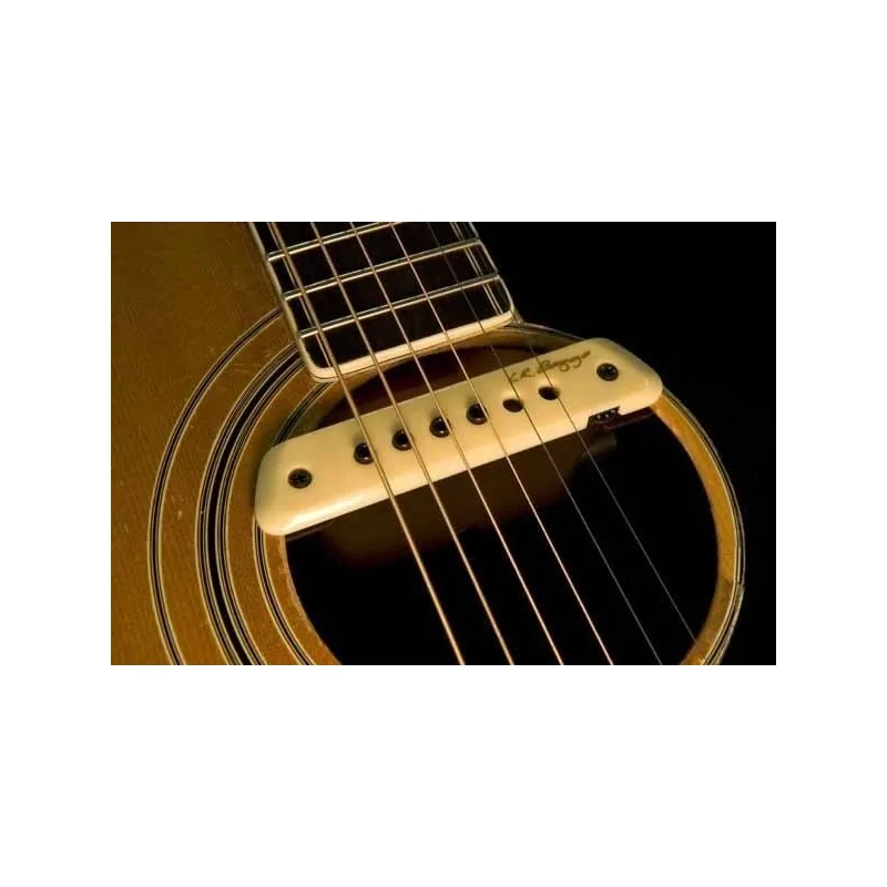 LR Baggs M1 Actif Gaucher