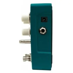 Orange Fur Coat - Pédale Fuzz