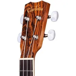 Cordoba 15CB Concert Cordoba 15CB Concert