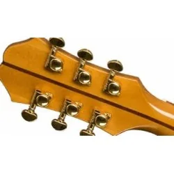 Epiphone EJ-200 Coupe Vintage Sunburst