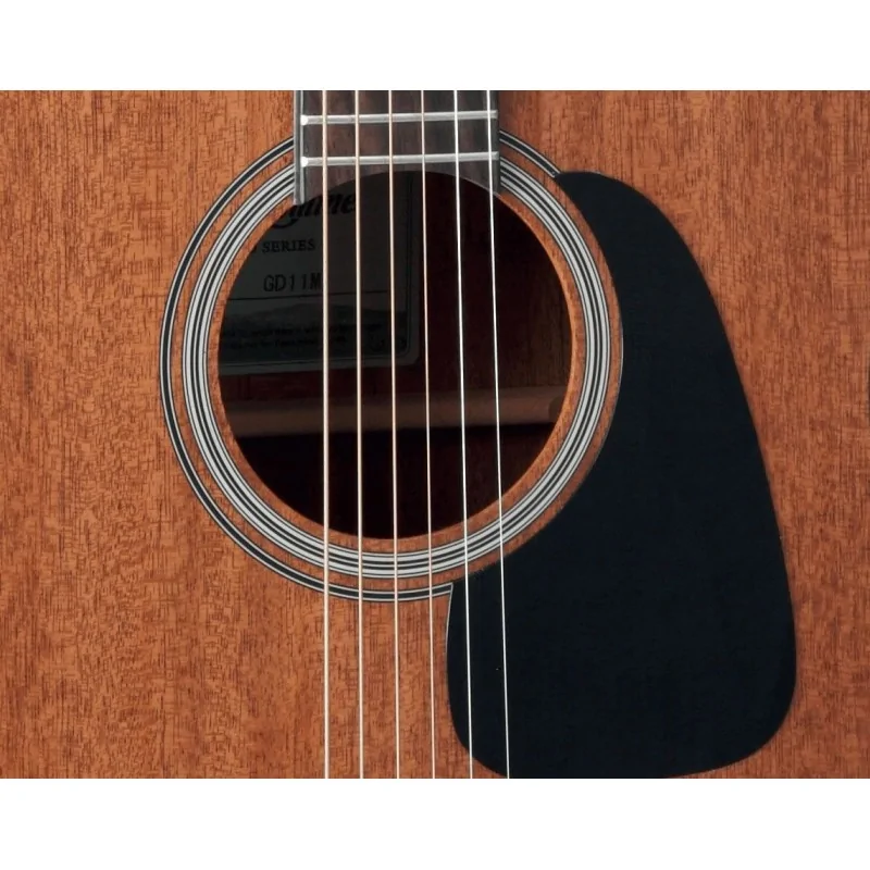 Takamine GD11-MNS