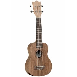 Tanglewood Tiare TWT-2 CN