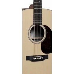 Gibson D-X1E Dreadnought Epicéa HPL/Acajou HPL Gibson D-X1E Dreadnought Epicéa HPL/Acajou HPL