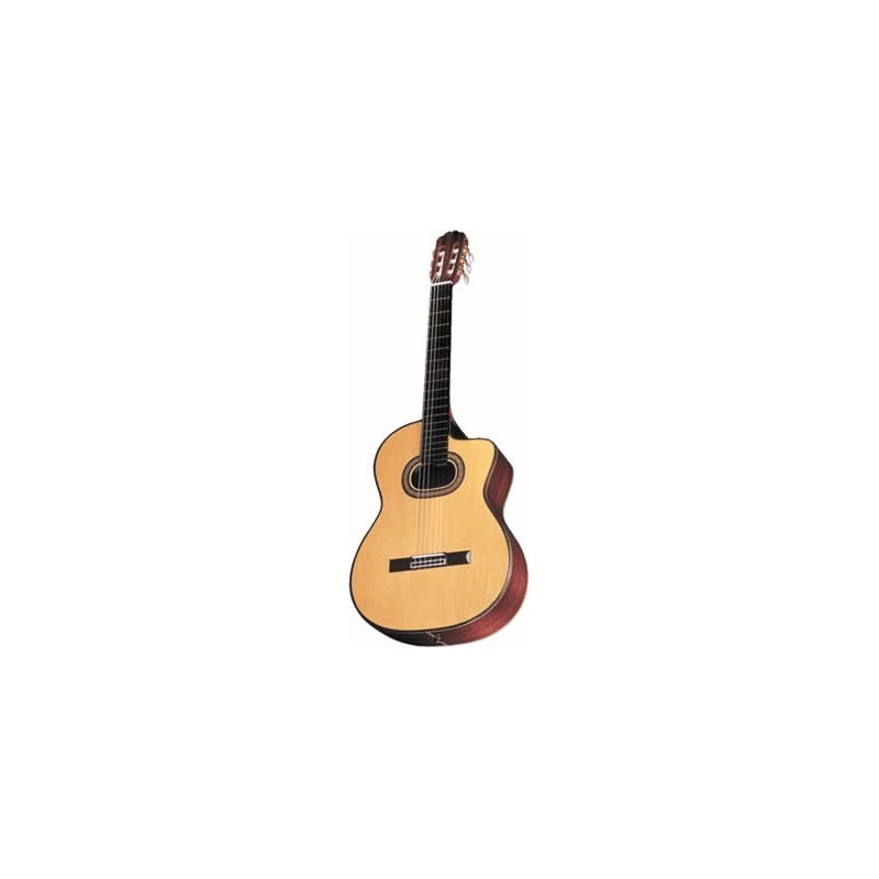 Takamine TH90