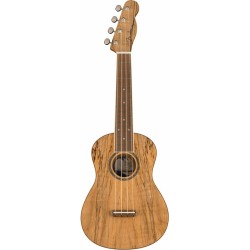 Fender Zuma Exotic Concert Ukulele