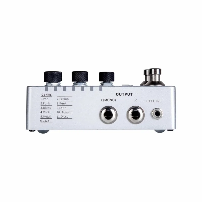 Mooer Groove Loop X2