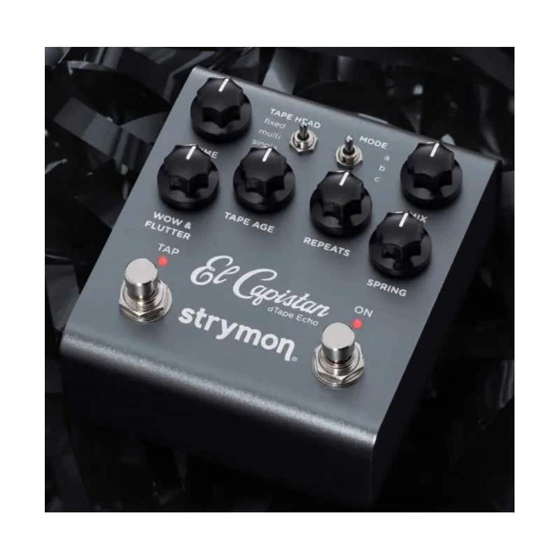 Strymon El Capistan V2 Tape Delay