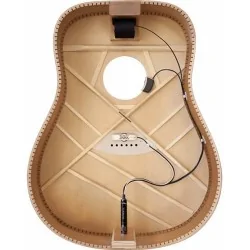 LR Baggs Anthem Classical