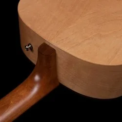 Seagull S6 Collection 1982 Seagull S6 Collection 1982