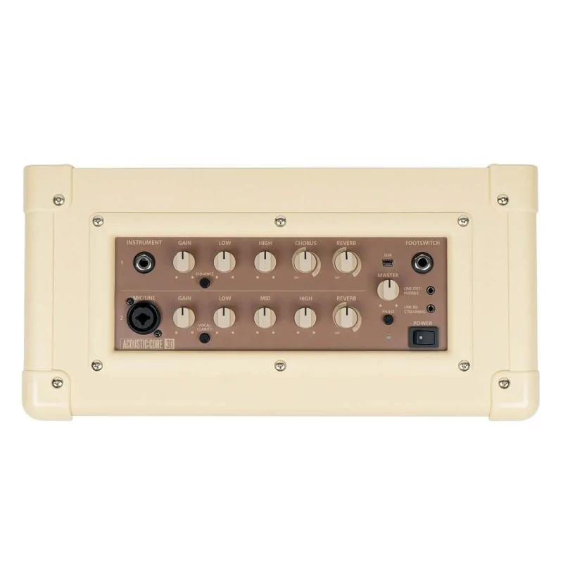 Blackstar Acoustic Core 30