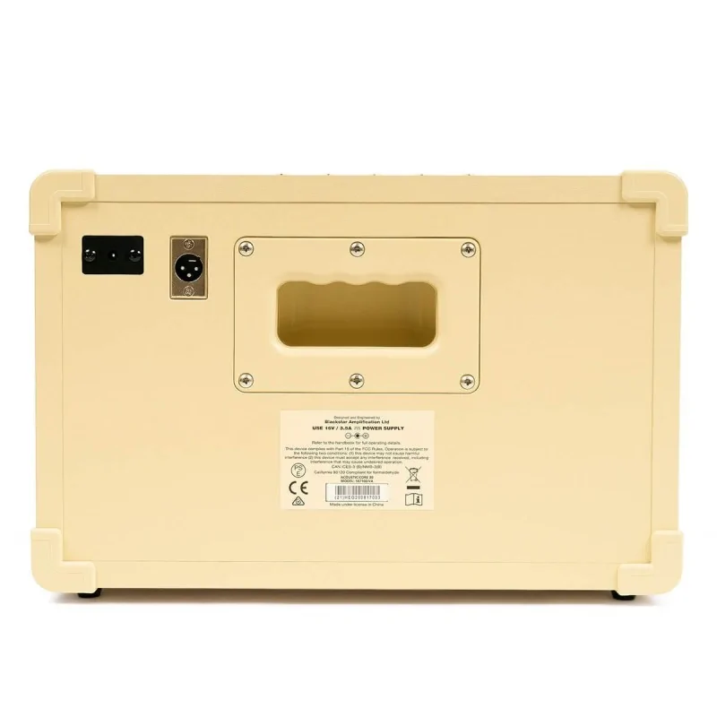 Blackstar Acoustic Core 30