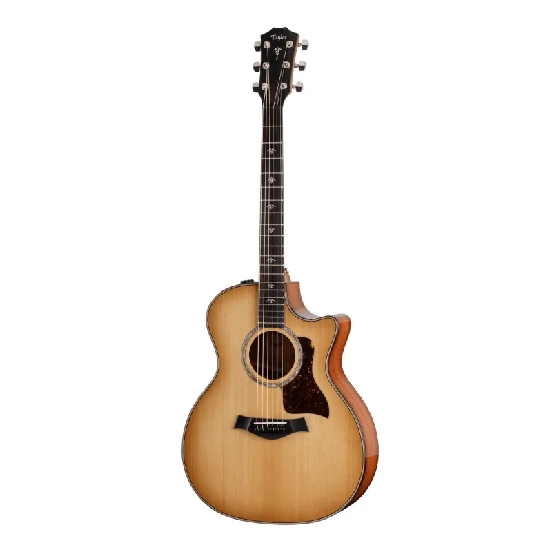 Taylor 514ce Urban Ironbark