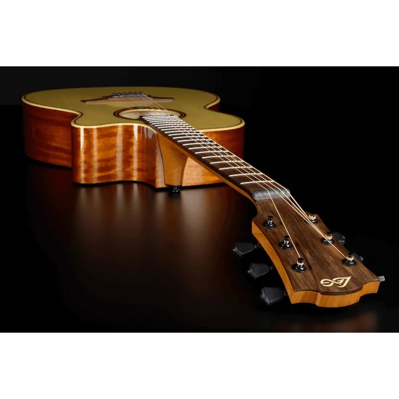 Lag T88ACE Auditorium Pan-Coupé Électro