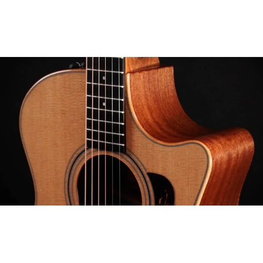 Taylor 314ce Studio Naturel