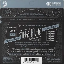 D'Addario EJ45FF Carbon Classical
