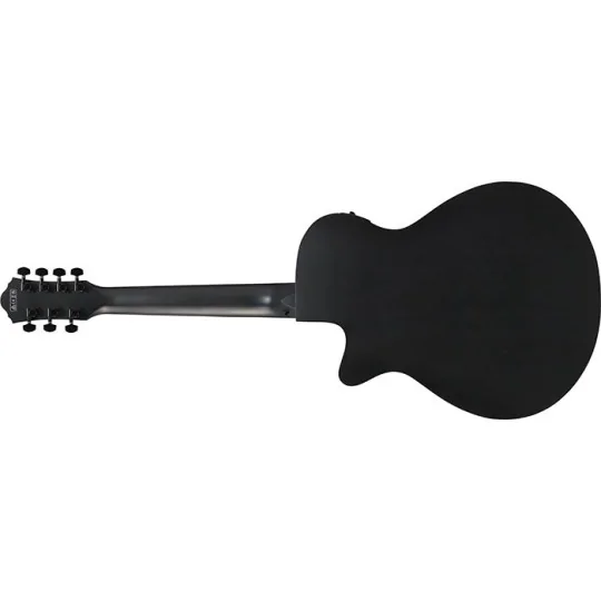 Ibanez AEG721-BOT Black Out