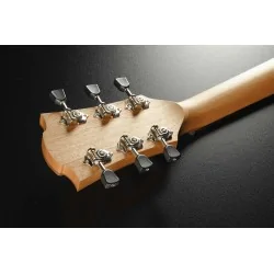 Lag T70A Auditorium Naturelle