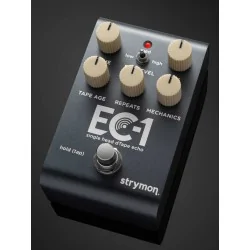 Strymon EC-1