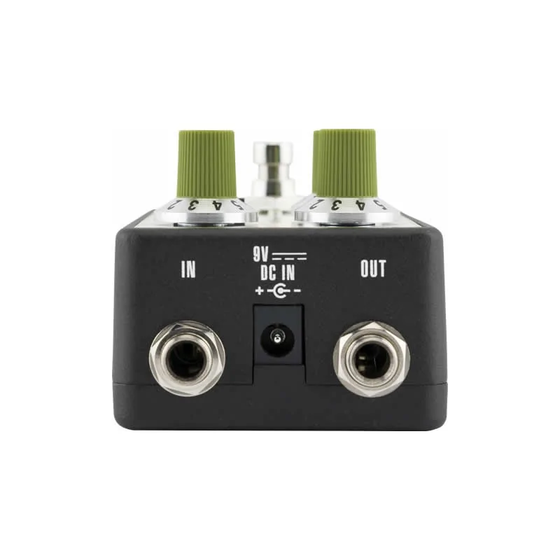 Fender Bassman Reverb