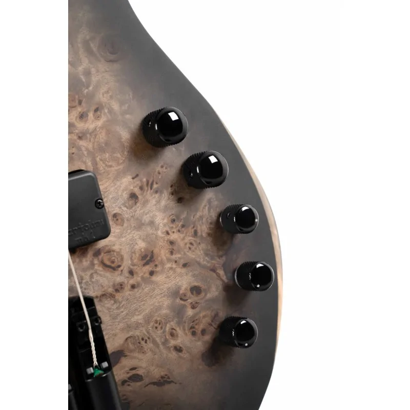 Cort Space 4 Star Dust Black Cort Space 4 Star Dust Black