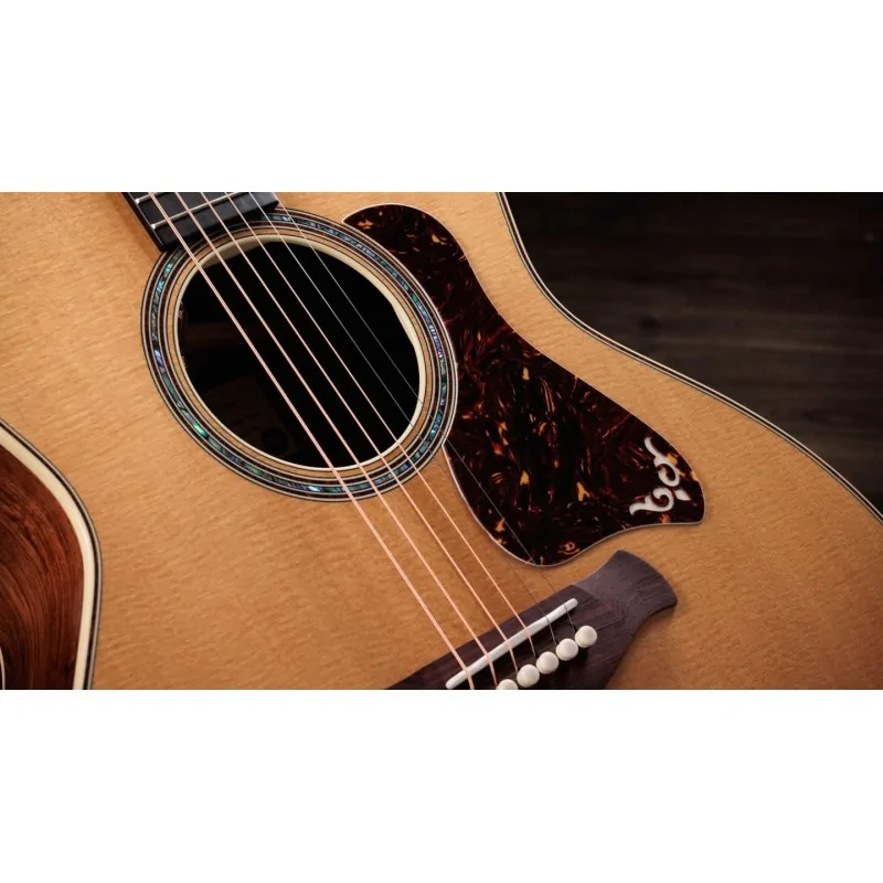 Taylor Guitars Gold Label 814e