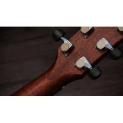 Taylor Guitars Gold Label 814e