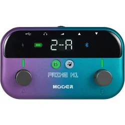 Mooer Prime M1
