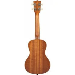 Kala Surfboard Far Out Concert