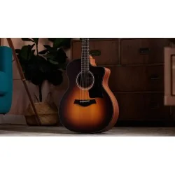 Taylor 114ce-SB Special Edition Taylor 114ce-SB Special Edition