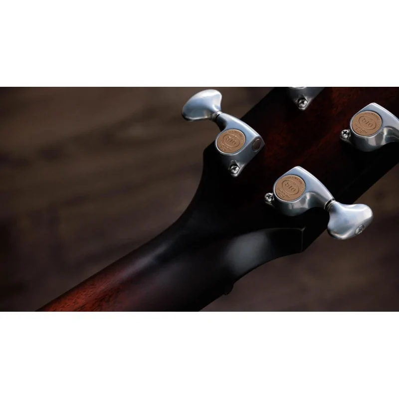 Taylor Builder's Edition 514ce Taylor Builder's Edition 514ce