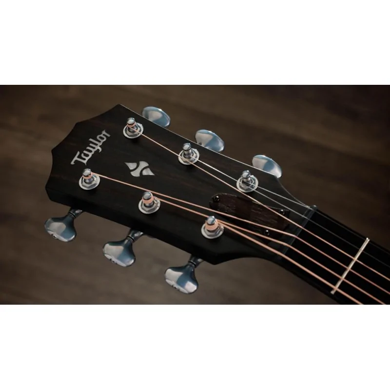 Taylor Builder's Edition 514ce Taylor Builder's Edition 514ce