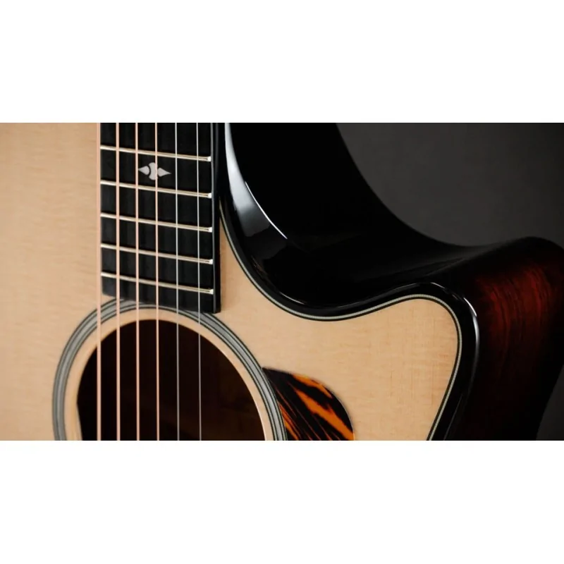 Taylor Builder's Edition 514ce Taylor Builder's Edition 514ce