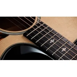 Taylor Builder's Edition 514ce Taylor Builder's Edition 514ce