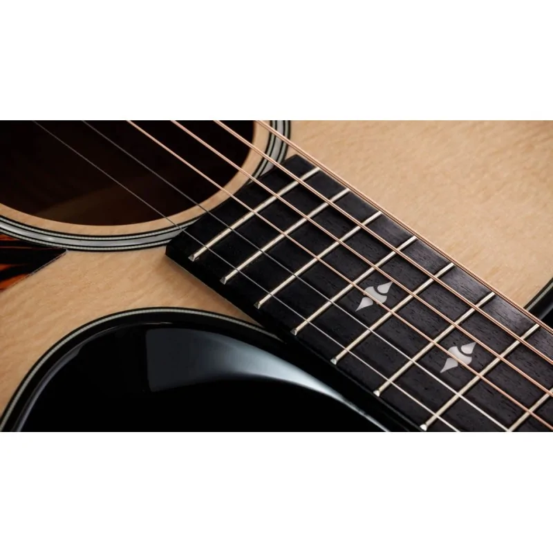 Taylor Builder's Edition 514ce Taylor Builder's Edition 514ce