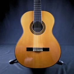 Alhambra 10 Premier - Occasion