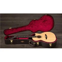 Taylor 314ce-N Nylon