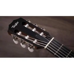 Taylor 314ce-N Nylon