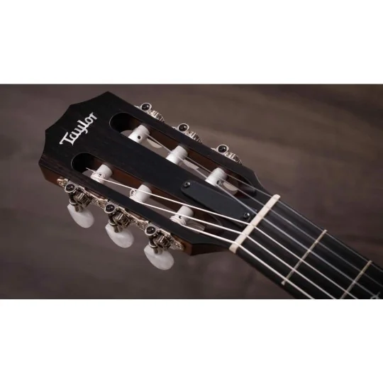 Taylor 314ce-N Nylon