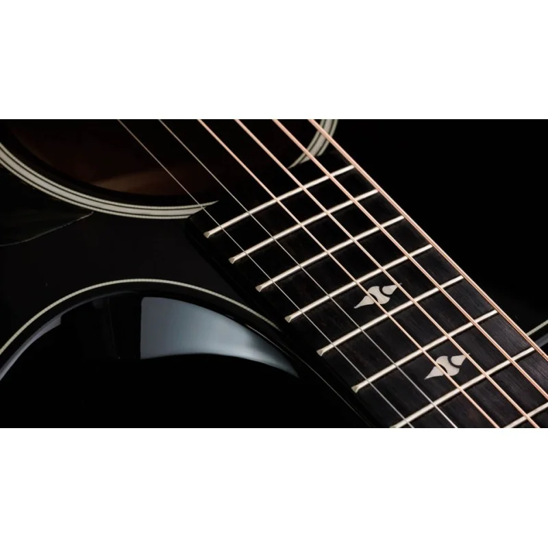Taylor 524ce Builder's Edition
