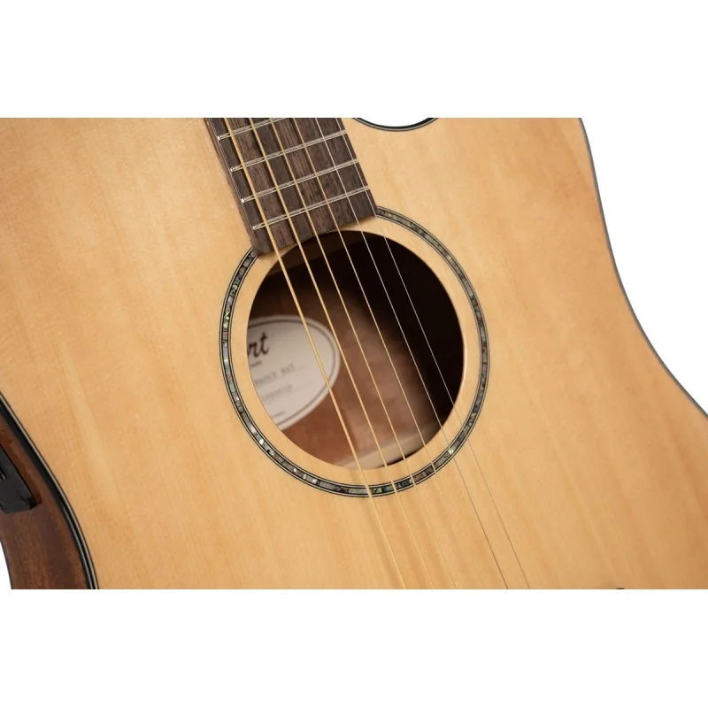 CORT EARTH60CE NATUREL BRILLANT