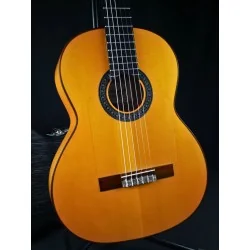 Amalio Burguet 1 Flamenca - Occasion