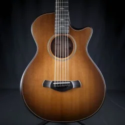 Taylor Builder's Edition 652ce WHB - Occasion