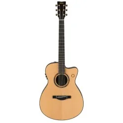 TAS3 C NT TransAcoustic Natural