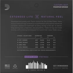 D’Addario XT Taylor GS Mini Bass 37-90 – Custom Light