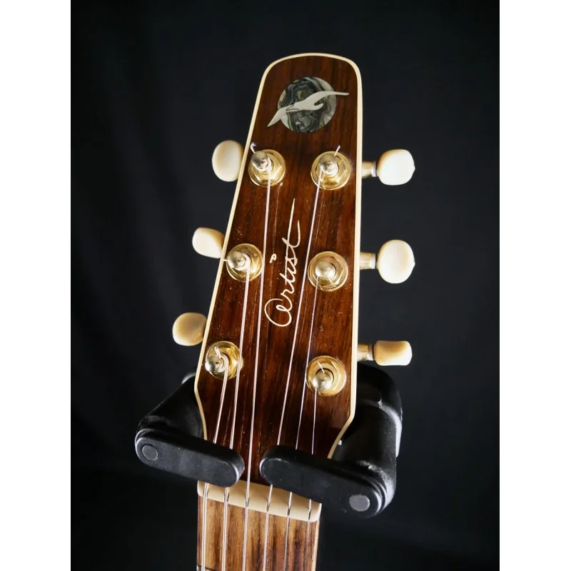 Seagull Artist Mosaic CW 2005 - Occasion