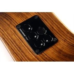 LÂG GLA T318ACE Auditorium pan-coupé électro, finition naturelle LÂG GLA T318ACE Auditorium pan-coupé électro, finition naturelle