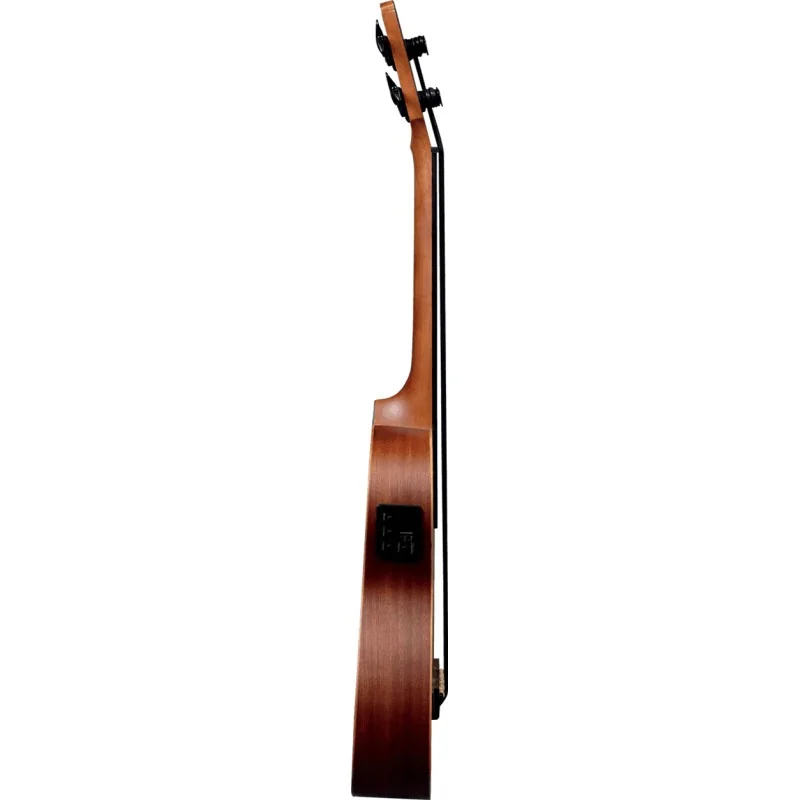LÂG GLU TKB150FCE Mini basse fretless Electroacoustique