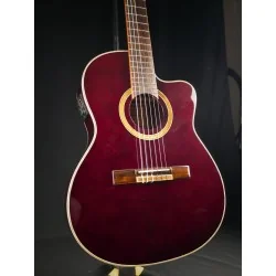 Ortega RCE138 - Occasion