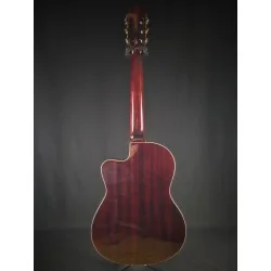 Ortega RCE138 - Occasion