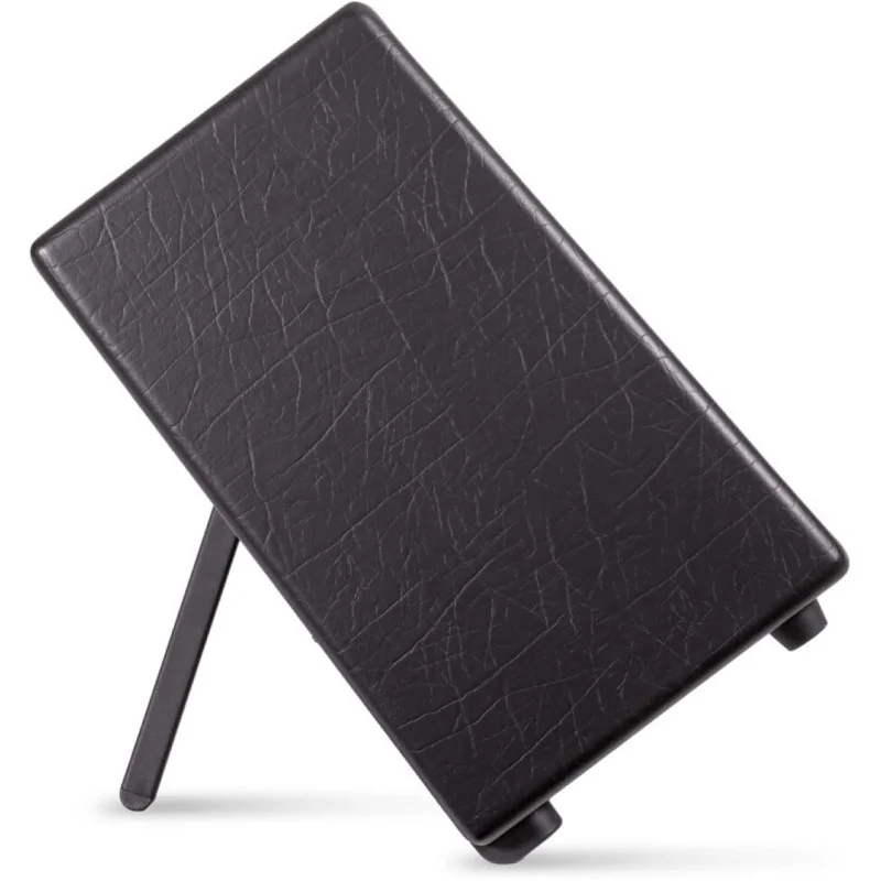 Blackstar Artist FR Standard